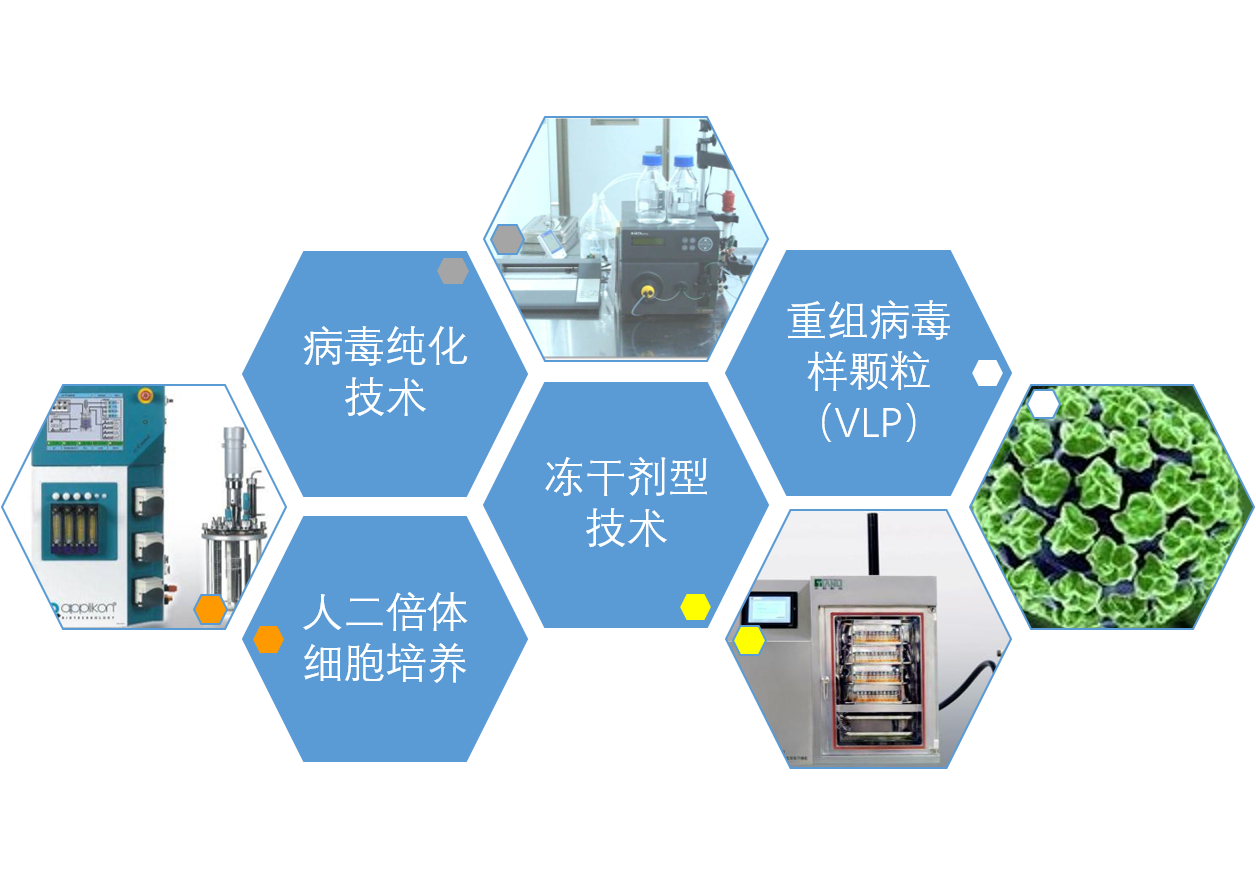 研究開發(fā)